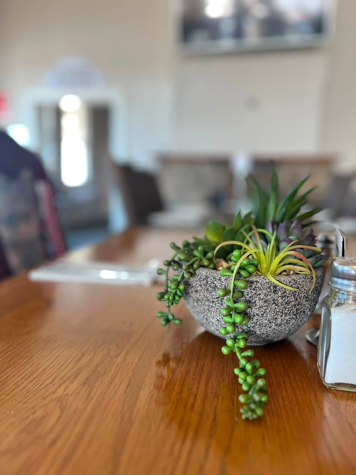 Table setting with a trailing succulent centrepiece